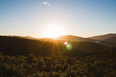 17 Caption Singkat Selamat Pagi yang Aesthetic dalam Bahasa Inggris, Bikin Feed Makin Adem