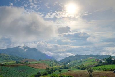 17 Caption Selamat Pagi yang Menyentuh Hati, Bikin Harimu Makin Berarti