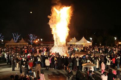Mengintip Festival Daeboreum: Perayaan Bulan Pertama di Korea Selatan