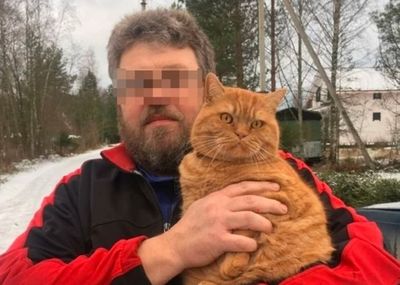 Tragis, Pria Rusia Tewas Setelah Kakinya Dicakar Kucing Oyen Peliharaannya