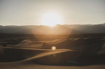 Peneliti Ungkap Debu Sahara Jadi Nutrisi Penting Kehidupan Laut, Penyelamat Pemanasan Global