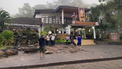 Taman Nasional di Thailand Ditutup Setelah Pengunjung Tewas Diserang Gajah Liar