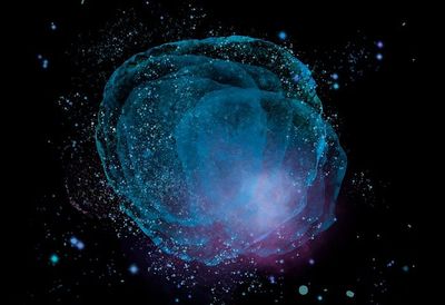 Mengenal Fenomena Bioluminescent, Cahaya Biru yang Indah di Lautan