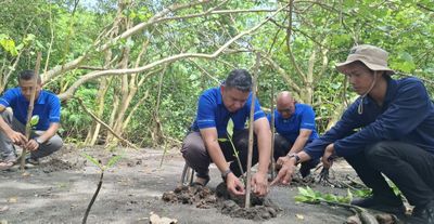 Sebagai Komitmen Sadar Lingkungan, Pemuda Bantul Tanam 2000 Mangrove di Pantai Baros