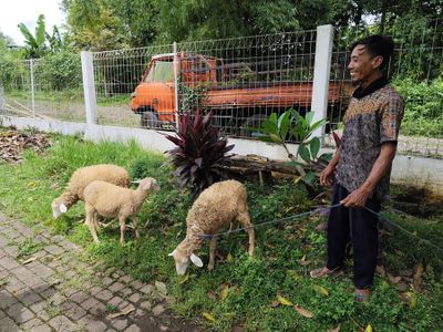 Kisah Inspiratif Eks ODGJ yang Sembuh, lalu Sumbangkan 3 Kambing ke Tempatnya Berobat Dulu