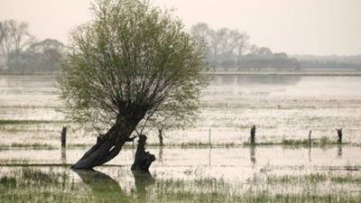 5 Arti Mimpi Sungai Meluap Menurut Primbon Jawa