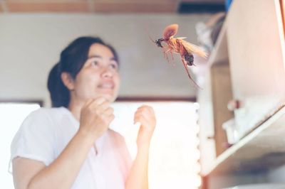 Kenapa Kecoa Sering Terbang ke Arah Wajah Kita? Ini Penjelasannya