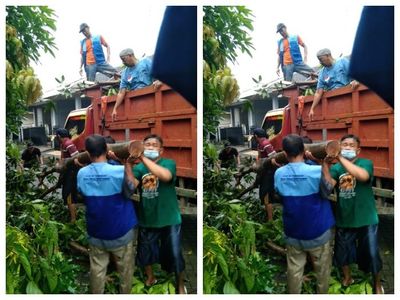 Akhirnya Gak Cuma Wacana, Transformasi Energi dan Ekonomi Hijau Sidoarjo Jadi Kenyataan
