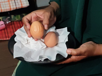 Telur Berlafaz Allah di Jember, Ini Penjelasan Akademisi Unej