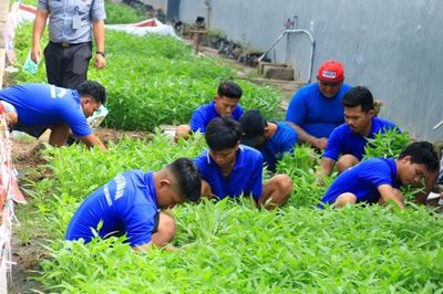 Warga Binaan Lapas Banyuwangi Berdaya: Panen Kangkung dari Lahan Terbatas untuk Kemandirian Pangan