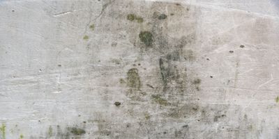 Dinding Rumah Lembab & Berjamur? Cek Cara Cepat Atasinya