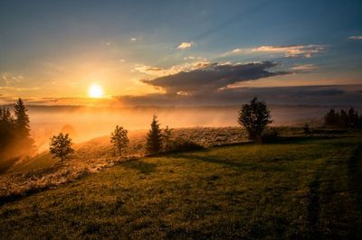 17 Caption Singkat Tentang Sunrise, Simpel Tapi Kena di Hati!