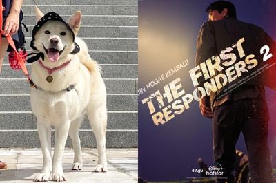 Sederet Fakta Anjing Jindo, Hidup Ribuan Tahun hingga Jadi Julukan Jin Ho Gae di The First Responders 2