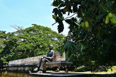 Mengulik Tempat Lahir Pancasila di Ende: Bung Karno, Pohon Beringin, dan Landasan Ideologi