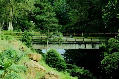 Cerita Mistis Jembatan Bolong di Sulbar, Kerap Terjadi Kejadian Aneh Hingga Minta Tumbal