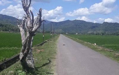 Sejarah Desa Nepo Kabupaten Barru, Tempat Main Presiden ke-3 Indonesia Semasa Kecil