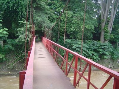 Kebun Raya Bogor, Tanda Cinta Stanford Raffles Dibarengi Sederet Kisah Horor yang Melegenda