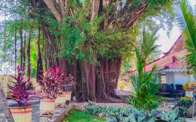 Mitos Penunggu Pohon Beringin Besar di Museum Keraton Sumenep