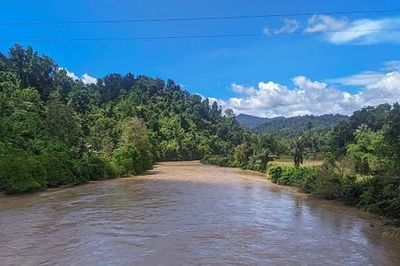 Misteri Hutan Karama di Desa Labbo: Keramat yang Menyimpan Rahasia