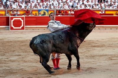 Mengungkap Misteri Plaza de Toros: Tarian Keberanian dalam Adu Banteng Spanyol