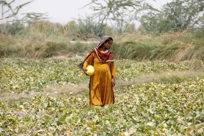 Seorang Dukun Tancapkan Paku ke Kepala Wanita Hamil Pakistan, Biar Punya Anak Laki-laki