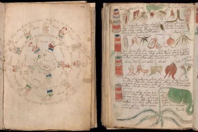 10 Fakta Menarik Tentang Voynich, Manuskrip Paling Misterius di Dunia yang Belum Terpecahkan hingga Kini