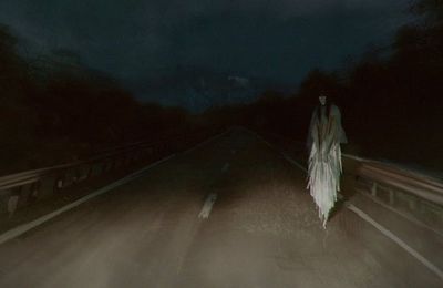 Misteri Alas Roban: Hutan Paling Angker di Jawa Tengah!