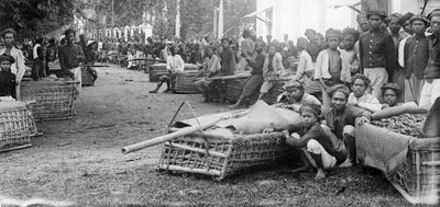 Jeratan Liberalisme dan Kemiskinan: Involusi Pertanian Memperparah Krisis Ekonomi di Hindia Belanda pada 1870-1900