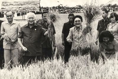Revolusi Hijau: Tinjauan Kritis terhadap Transformasi Pertanian di Indonesia Era Orde Baru