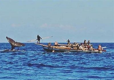 Mempertahankan Tradisi atau Menyelamatkan Raksasa Laut di Lamalera