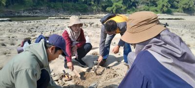Penemuan Fosil Gading Gajah Purba Berusia Ratusan Ribu Tahun di Desa Kapuan Blora
