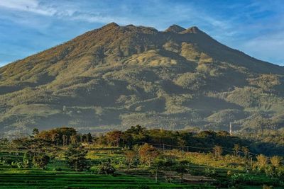 Pasar Gaib di Gunung Lawu Bikin Pendaki Tersesat Kalau Tidak Transaksi dengan Makhluk Astral