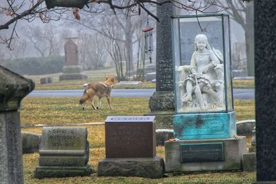 Misteri Patung Inez Clarke di Graceland Cemetery, Chicago