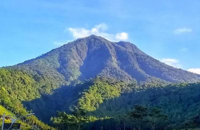 Menelusuri Jejak Misteri Pesugihan di Gunung Kawi: Fakta atau Mitos?