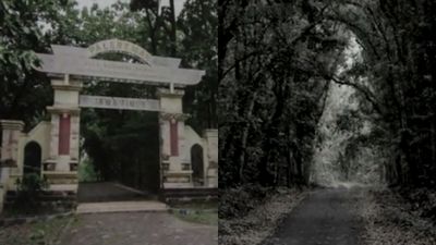 Misteri Alas Ketonggo: Hutan Angker di Ngawi yang Dipercaya Sebagai Tempat Pesugihan