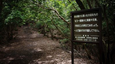 Misteri Aokigahara, Hutan yang Dikenal Sebagai Tempat Bunuh Diri di Jepang