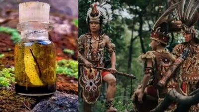 Misteri Minyak Bintang Suku Dayak, Konon Bisa Hidupkan Orang yang Sudah Mati