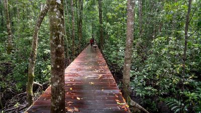 Kisah Misterius Kopassus Tersesat di Dimensi Lain Hutan Belantara Papua Selama 18 Hari, Ditempelin 3 Sosok