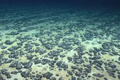 Penemuan Mengejutkan! Batu Hitam Ini Bisa Hasilkan Oksigen di Kedalaman Laut