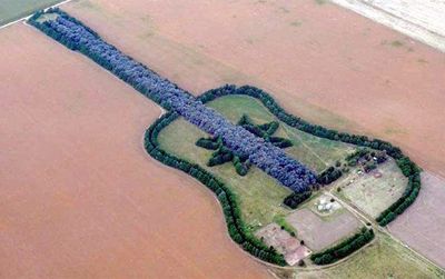 Kisah Haru di Balik Sebuah Gitar yang Tersusun dari Ribuan Pohon di Argentina