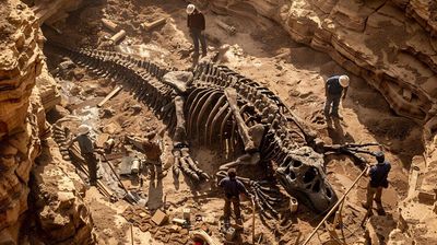 Momen Penemuan Fosil Dinosaurus Raksasa di Argentina yang Mengubah Sejarah Prasejarah