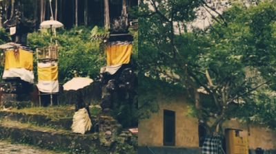 Misteri Pesugihan Gunung Kawi: Ada Mitos Pohon Dewandaru yang Mendatangkan Kekayaan