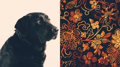 Misteri Pesugihan Juragan Batik Berubah Jadi Siluman Anjing yang Berujung Tragis
