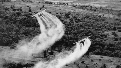 Mengenal Agent Orange, Senjata yang Digunakan Tentara Amerika saat Perang Vietnam Selain Senjata Api