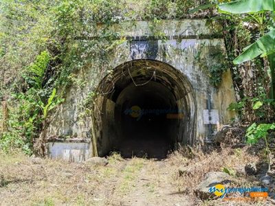Torowongan Wilhelmina: Jejak Sejarah Torowongan KAI Terpanjang di Indonesia