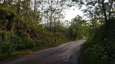 Gunung Pegat Ponorogo: Keangkeran dan Mitos Pengantin yang Selalu Cerai Jika Melintas