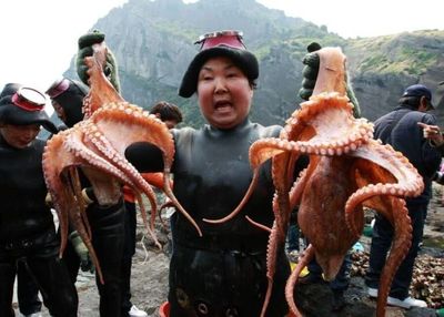 Mengintip Kehebatan Haenyeo, Nelayan Wanita Lansia di Pulau Jeju, Korea Selatan