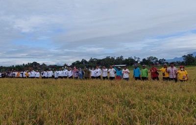 Memahami Tradisi Wiwitan atas Hasil Panen Melimpah dalan Masyarakat Jawa