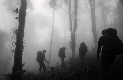 Kisah Mistis Gunung Cikuray: Ada Pendaki Misterius Minta Minum dan Wanita Bersandar di Pohon