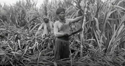 Tanam Paksa dan Uang: Awal Perubahan Hidup Petani Jawa Abad ke-19